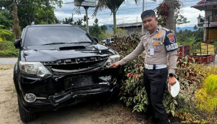 Jalan Licin, Dua Mobil Adu Kambing di Gunung Talang