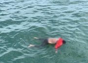 Terjatuh dari Pompong Saat Menjaring Udang, Atai Ditemukan Meninggal Dunia