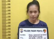 Ibu Muda di Inhu Edarkan Sabu dari Rumah, Polisi Sita 8,43 Gram