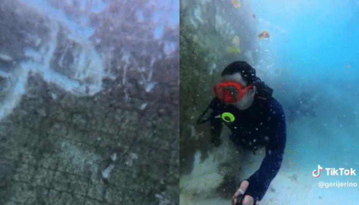 Kolam Teratai Kumuh dan Dinding Dipenuhi Lumut, Ini Penjelasan Dispora Padang
