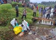 Geger, Warga Temukan Potongan Tubuh Manusia Mengapung di Batang Anai