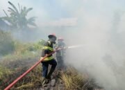 Akibat Bakar Sampah, 1 Hektar Lahan Kosong di Padang Terbakar