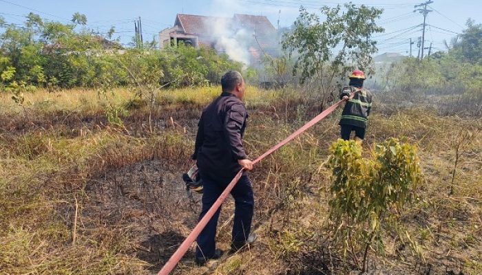 Kebakaran Lahan Ilalang di Parupuk Tabing, Damkar Padang Selamatkan Aset Rp1,5 Miliar