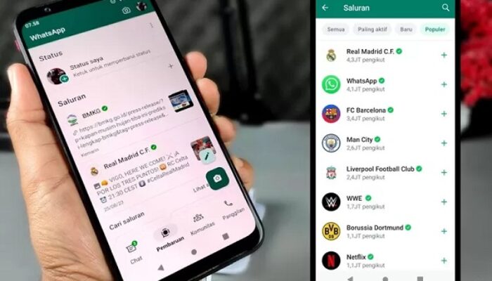 Privasi Lebih Aman, WhatsApp Akan Gantikan Nomor HP dengan Username
