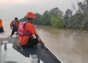 Hari ke-4 Pencarian, Korban Diterkam Buaya di Sungai Rokan Belum Ditemukan