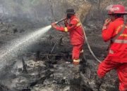 Karhutla Kembali Ancam Riau, BPBD Riau Berjibaku Padamkan Api dari Darat dan Udara