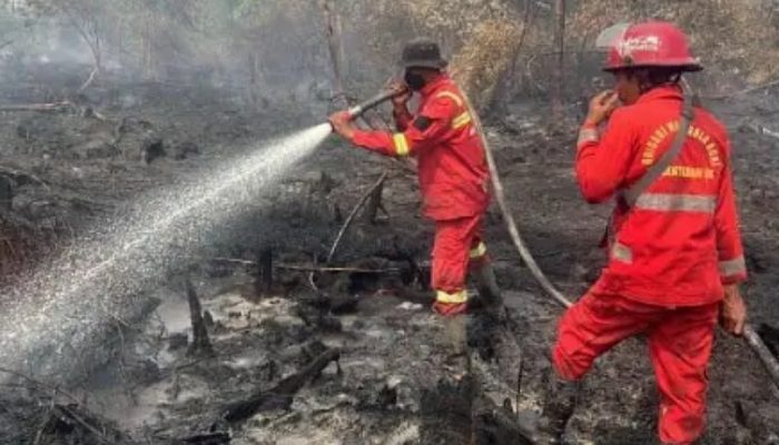 Karhutla Kembali Ancam Riau, BPBD Riau Berjibaku Padamkan Api dari Darat dan Udara