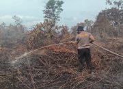 Karhutla di Tapung: Enam Saksi Diperiksa