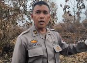 Karhutla di Karya Indah Kampar Mulai Terkendali, Begini Kata Kapolsek Tapung