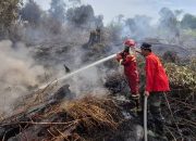 Karhutla Kembali Ancam Riau, Lahan 7 hektare di Rimbo Panjang Dilahap si Jago Merah