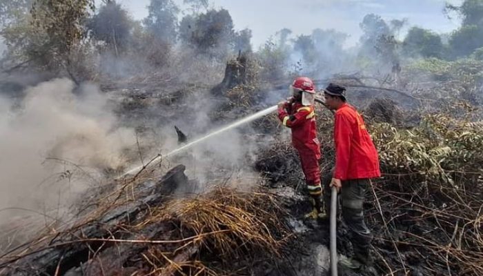 Karhutla Kembali Ancam Riau, Lahan 7 hektare di Rimbo Panjang Dilahap si Jago Merah