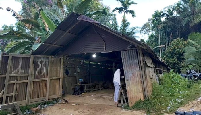 Kondisi Memprihatinkan Rumah Penyimpanan Perahu Bocah Penari yang Viral di Medsos