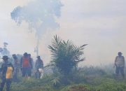 Buntut Karhutla Rohul, Sekolah di Empat Kecamatan di Rohul Diliburkan
