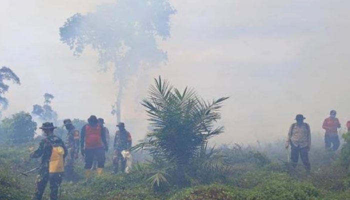 Buntut Karhutla Rohul, Sekolah di Empat Kecamatan di Rohul Diliburkan