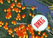 BMKG Rilis Update Hotspot Seluruh Sumatera, Provinsi Riau Dominasi Hingga 213 Titik Panas