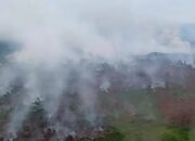 Karhutla di Tanjung Madang Kepulauan Meranti, Pria 49 tahun Terancam Pasal Berlapis 