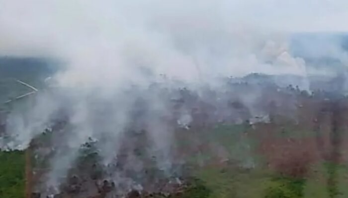 Karhutla di Tanjung Madang Kepulauan Meranti, Pria 49 tahun Terancam Pasal Berlapis 