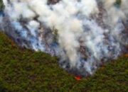 Karhutla Meluas di Desa Tanjung Peranap Masuk Hari ke-11, 50 Hektare Lahan Terbakar
