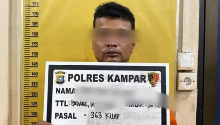 Spesialis Pencurian L300 Dibekuk Satreskrim Polres Kampar, Beraksi antar Kabupaten