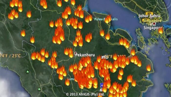 Riau Catat 247 Titik Panas, Didominasi Tertinggi di Sumatra