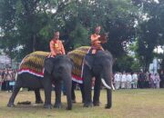 Vera dan Jopi, Dua Gajah Sumatera Ikut Upacara HUT ke-80 RI di Pekanbaru