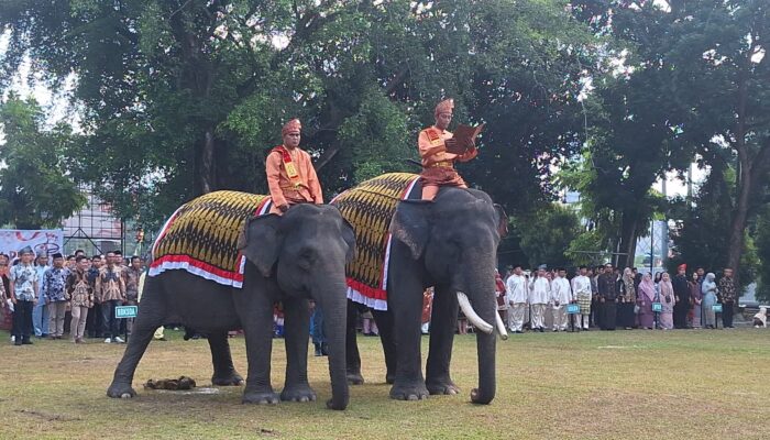 Vera dan Jopi, Dua Gajah Sumatera Ikut Upacara HUT ke-80 RI di Pekanbaru