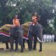 Vera dan Jopi, Gajah Sumatera yang Jadi Bintang Upacara Kemerdekaan di Riau. (ist)