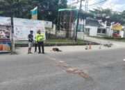 Kecelakaan Maut di Hari Kemerdekaan, Pelajar 20 Tahun Meninggal di Pekanbaru