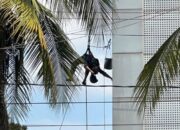 Pekerja Tergantung Tak Sadarkan Diri di Gedung Bank UOB, Kapolsek: Korban Tersengat Aliran Listrik 