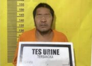 Buron dari 2022, Predator Anak di Inhu Ditangkap Polisi di Hutan Belantara 