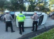 Supir Diduga Mengantuk, Tabrak Pohon Palma di Pekanbaru Hingga Mobil Terbalik