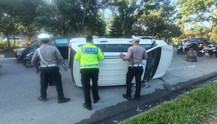 Supir Diduga Mengantuk, Tabrak Pohon Palma di Pekanbaru Hingga Mobil Terbalik