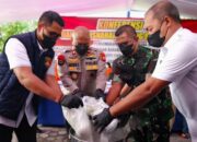 Ditresnarkoba Polda Riau Musnahkan Narkotika Hasil Tangkapan Juni Hingga Agustus 2025