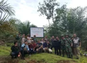 8.000 Hektare Hutan di Sumbar Ditertibkan, Dua Korporasi Terlibat
