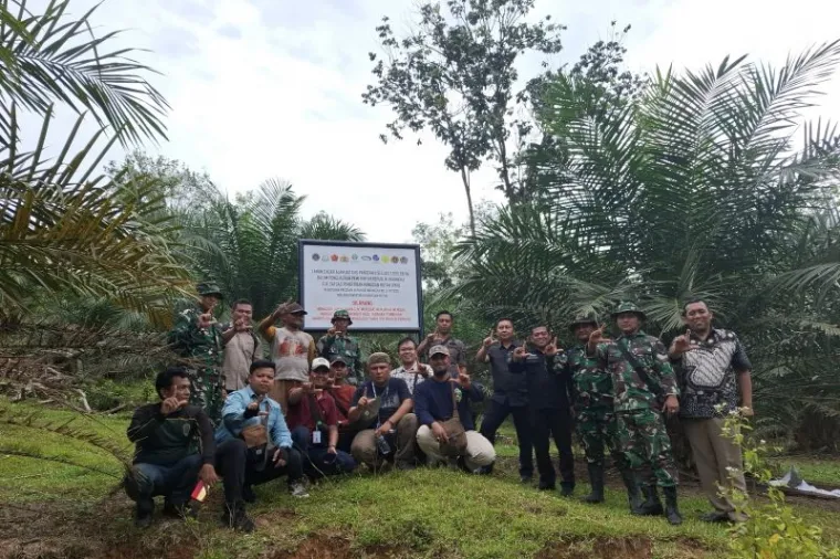 Satgas PKH dan Kejati Sumbar Tertibkan 8.000 Hektare Lahan Hutan di Solok Selatan. (ist)