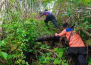 Petani Pesisir Selatan Hilang Terseret Arus, Pencarian Hari Pertama Belum Ditemukan