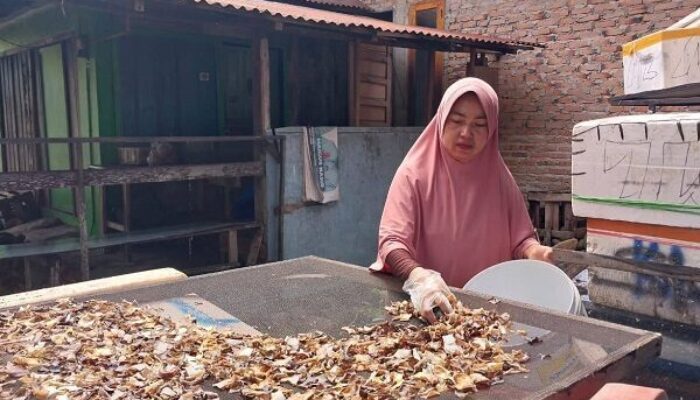 Dari Pandemi Jadi Inspirasi, Zikra Olah Kulit Hiu Jadi Kerupuk Gurih di Padang