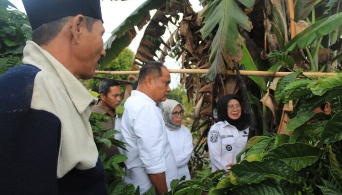 Strategi Dharmasraya, Bupati Berjuang ke Pusat Sementara Wabup Cari Ilmu ke Jambi