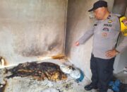 Bertengkar dengan Pacar, Seorang Perempuan di Padang Nekat Bakar Diri