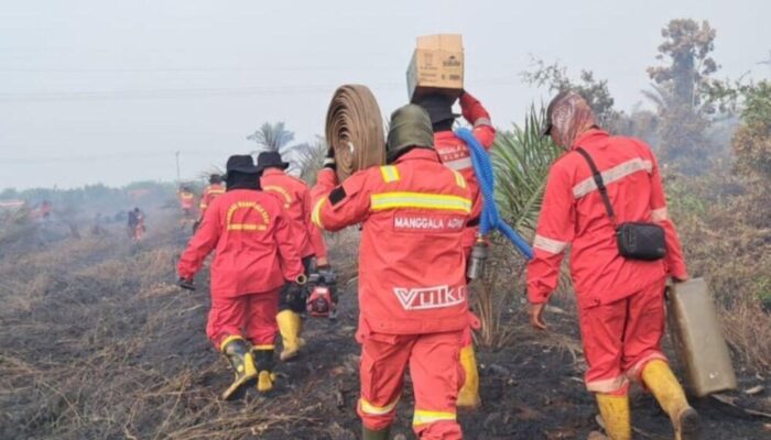 Riau Bebas Karhutla, Musim Hujan Berpotensi Picu Bencana Baru