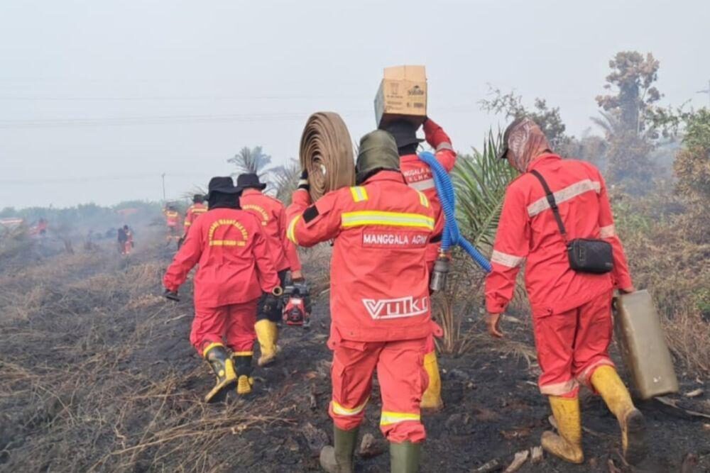 Titik Api di Riau Padam, BPBD Siaga Ancaman Banjir. (Ist)