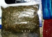 Avsec dan Lanud Roesmin Nurjadin Gagalkan Penyelundupan Ganja di Bandara SSK II Pekanbaru