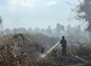 Dua Petani di Inhu Ditangkap karena Bakar Lahan, Polisi Tegaskan Tak Ada Toleransi