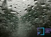 Siang Hingga Malam, Hujan Lebat Diprediksi Guyur Hampir Seluruh Wilayah Riau