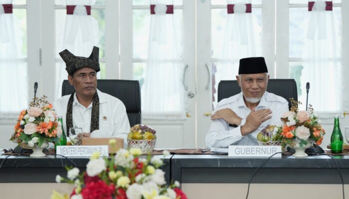 Sumbar Daerah Penghasil Gambir Terbesar Nasional, Mahyeldi Minta Dukungan Kementan