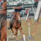 Azral Mardin Wakili Indonesia di Kejuaraan Horseback Archery Dunia 2025 di Amerika Serikat. (Ist)