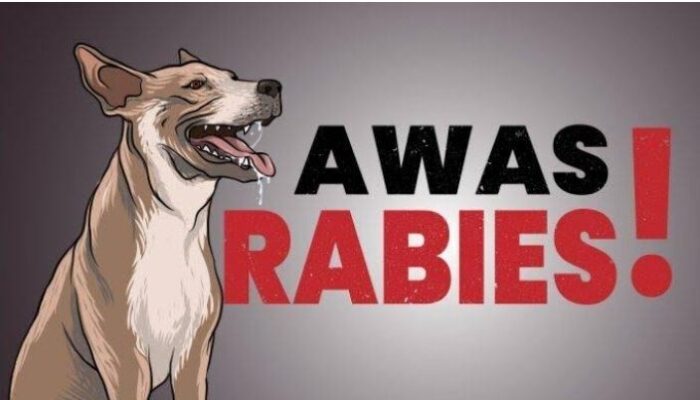 Viral Video Dugaan Penolakan Vaksin Rabies di Puskesmas Lubuk Buaya, Dinkes Belum Beri Penjelasan