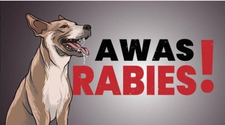 Awas rabies. (ist)