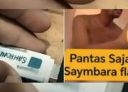 Flashdisk Putih dan Video Viral 7 Menit, Ahmad Sahroni dan Nafa Urbach Apakah Disinformasi dan Fitnah?