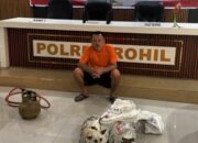 Polres Rohil Tangkap Pelaku Penganiayaan Hewan, Sengaja Hidangkan Daging Anjing di Rumah Makan